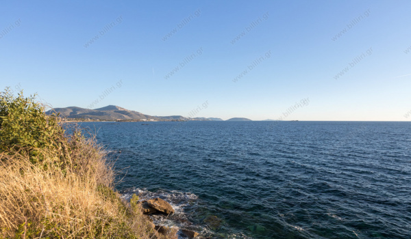 36_967746726