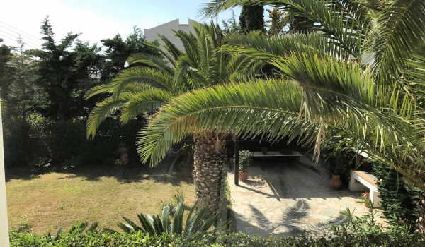 Κήπος - Garden