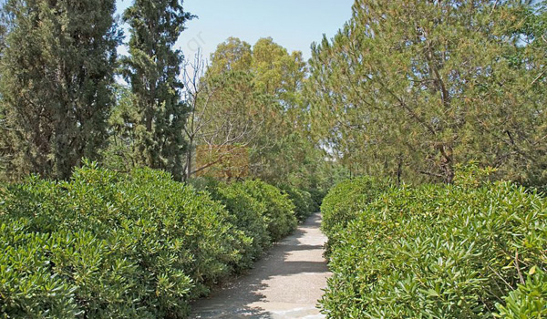 Πάρκο - Park
