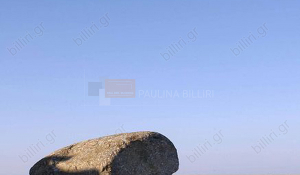 Εξωτερική όψη - Outdoor view